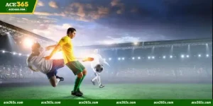 9Wickets Sports