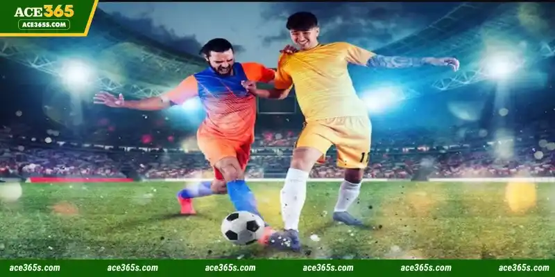 9Wickets Sports guarantees the best gameplay experience