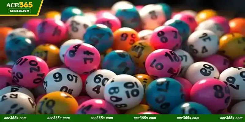 Information about the TC Gaming Lottery lobby is of great interest
